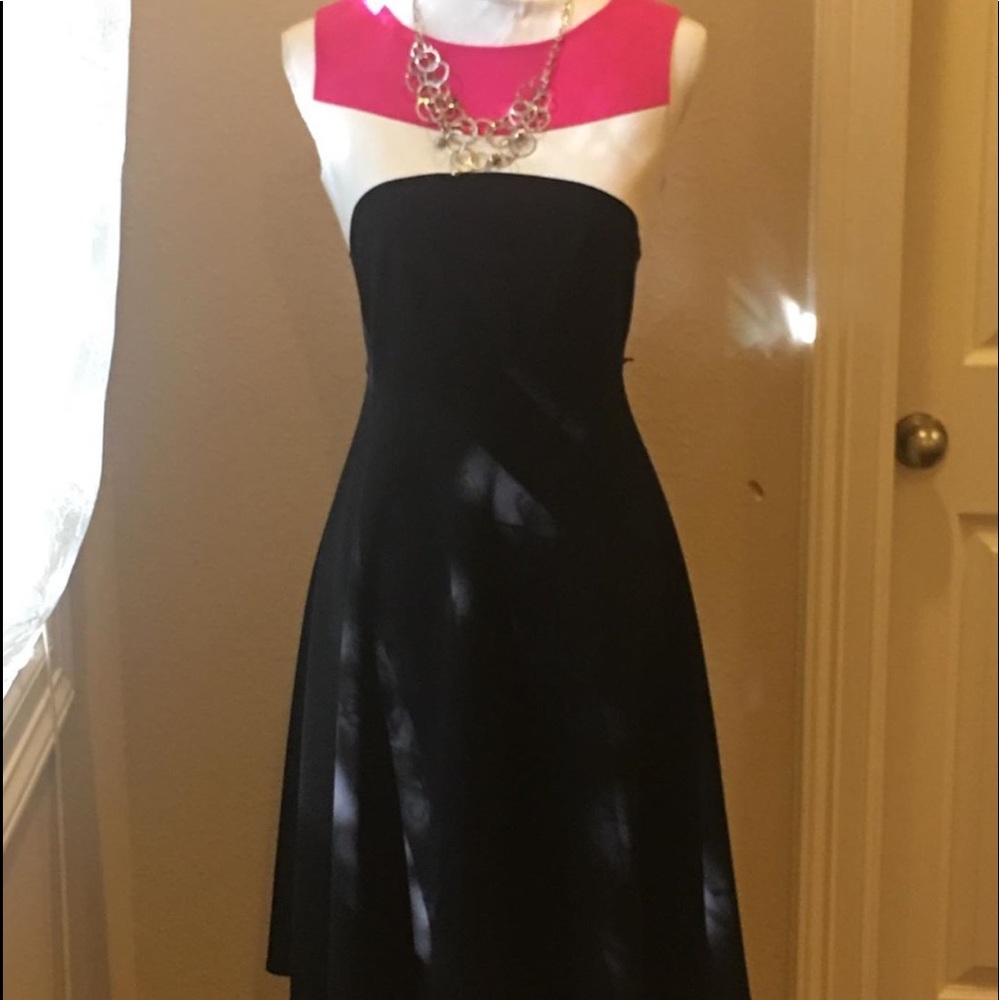 Calvin Klein Color Block Dress 2